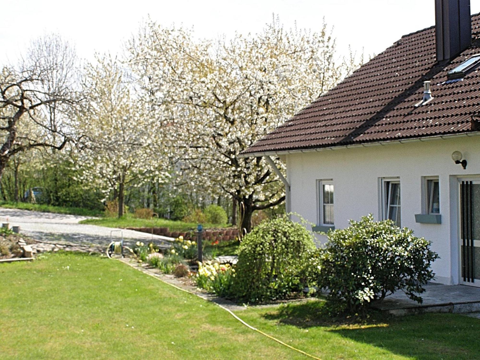 Welcoming Chalet Near Forest In Rohrnbach Röhrnbach Exterior foto